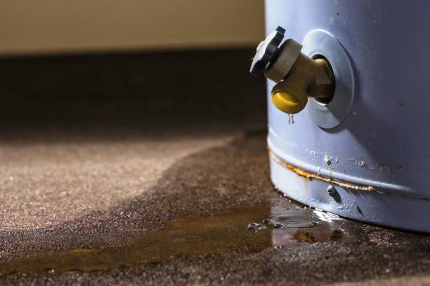 Best Flood damage cleanup  in Petersburg, IN