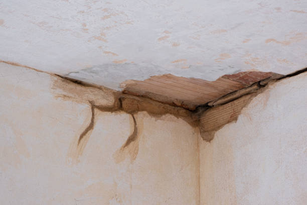 Carpet water damage restoration in Petersburg, IN