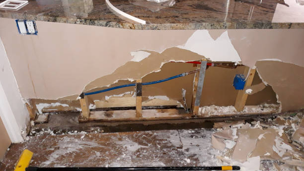 Best Water damage contractors near me  in Petersburg, IN