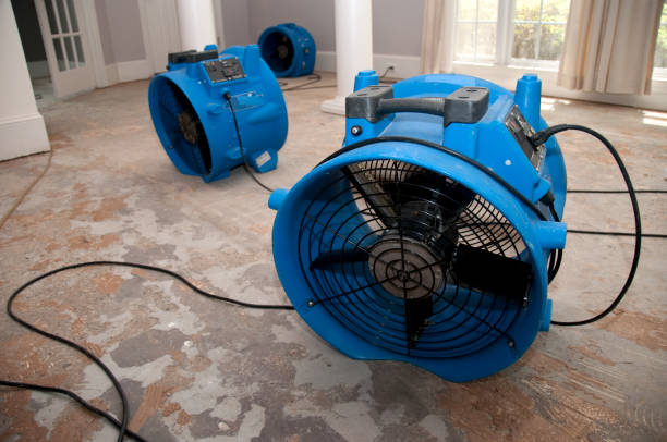 Trusted Petersburg, IN Water damage restoration Experts