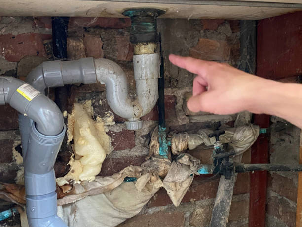 Best 24/7 water damage repair  in Petersburg, IN