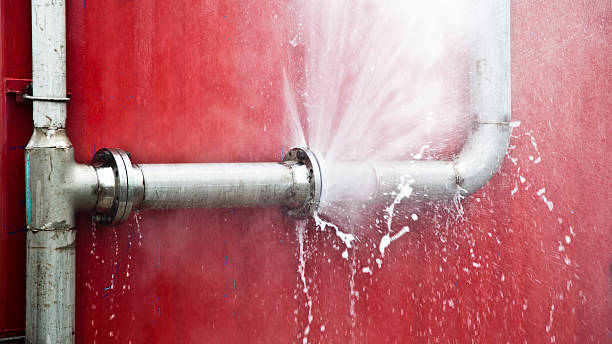 Best Basement water damage restoration  in Petersburg, IN